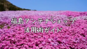 福島アンテナショップの活用術ガイド