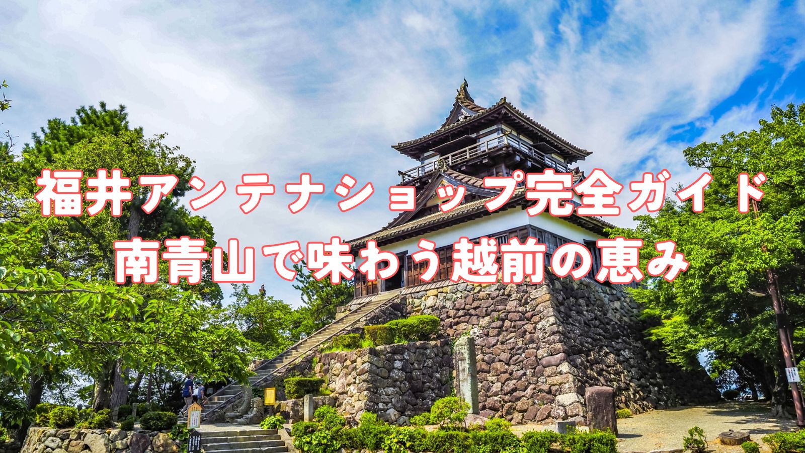福井アンテナショップ完全ガイド｜南青山で味わう越前の恵み